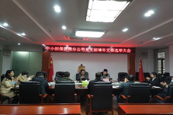 中小擔(dān)保貴港分公司黨支部召開黨員大會增補支部委員